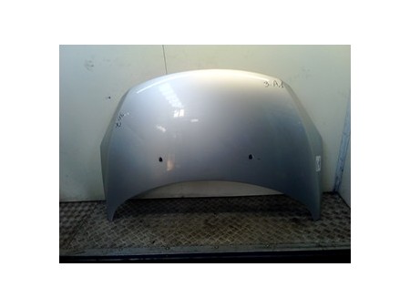 COFANO ANT. PEUGEOT 307 (07/05-07/08) DV6ATED4 7901L9
