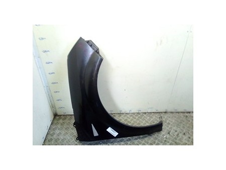 PARAFANGO ANT. DX. RENAULT SCENIC 2A SERIE (06/03-08/09) F9QD8 8200020569