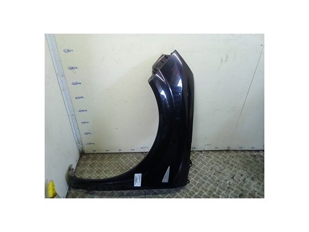 PARAFANGO ANT. SX. RENAULT SCENIC 2A SERIE (06/03-08/09) F9QD8 8200020568