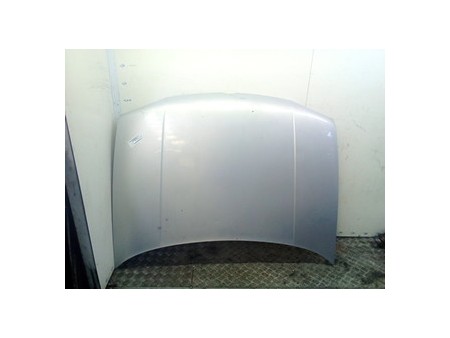 COFANO ANT. VOLKSWAGEN GOLF (1J) (09/97-03/06) AEH 1J0823031B