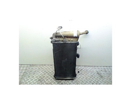 RADIATORE LANCIA YPSILON (TE) (06/03-09/06) 188A4000 51706057