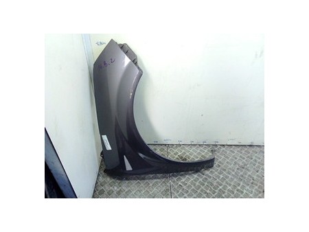 PARAFANGO ANT. DX. RENAULT SCENIC 2A SERIE (06/03-08/09) F9QD8 8200020569