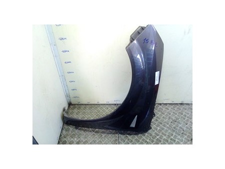 PARAFANGO ANT. SX. RENAULT SCENIC 2A SERIE (06/03-08/09) F9QD8 8200020568