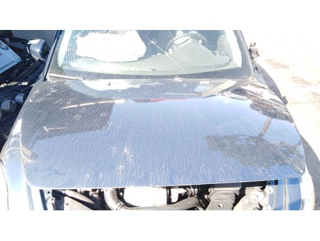 COFANO ANT. VOLVO C30 (10/09-12/12) D4162T 31371415