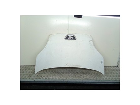 COFANO ANT. PEUGEOT BIPPER (10/08-) 8HS 7901Q0