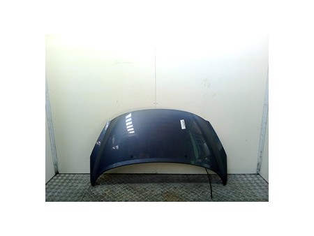 COFANO ANT. PEUGEOT 207 (04/06-06/09) 9HX 7901N2