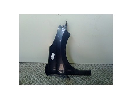 PARAFANGO ANT. DX. PEUGEOT 207 (04/06-06/09) 9HX 7841V0