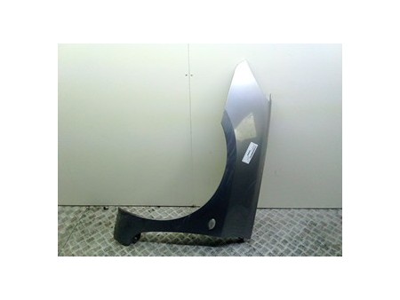 PARAFANGO ANT. SX. PEUGEOT 307 (04/01-12/06) RHY 7840K8