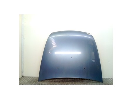 COFANO ANT. PEUGEOT 607 (09/00-12/04) DW12TED4 7901L2