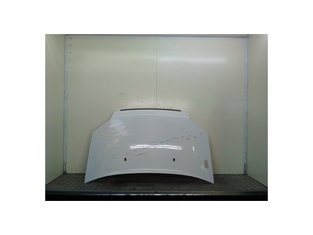 COFANO ANT. FORD TRANSIT CONNECT (TC7) (12/02-) R3PA 5149226
