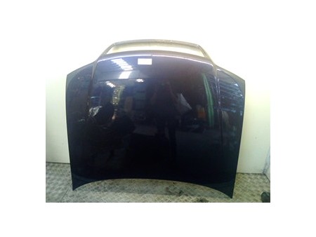 COFANO ANT. AUDI A6 (4B) (05/01-01/05) AVF 4B0823029D
