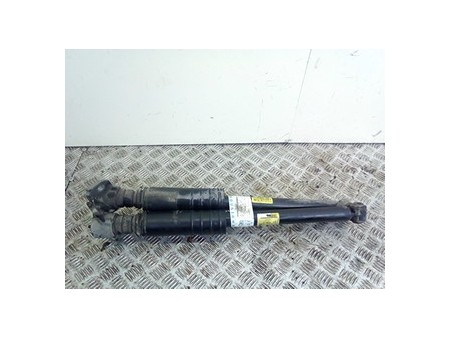 AMMORTIZZATORE POST. YA DX. CHEVROLET (DAEWOO) AVEO (T250) (06/08-11/12) B12D1 96980828