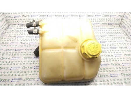 VASCHETTA COMPENSAZIONE RADIATORE FORD FOCUS (CAK) (10/01-04/05) FYDB 1091364