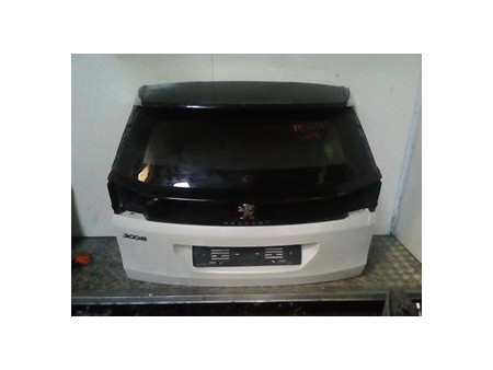 PORTELLO POST. PEUGEOT 3008 (07/16-03/21) DW10FC 1617409480