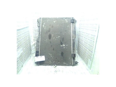 RADIATORE FORD FIESTA (CB1) (09/08-10/13) F6JD 1772863