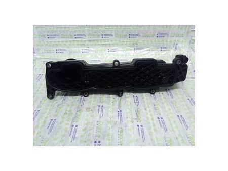 COPERCHIO PUNTERIE DX. CITROEN C4 (11/04-10/10) TU5JP4 248L6