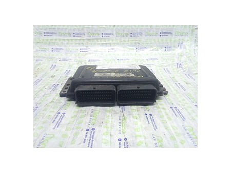 CENTRALINA INIEZIONE RENAULT CLIO 2A SERIE (05/01-11/10) D4FG7 8200254494