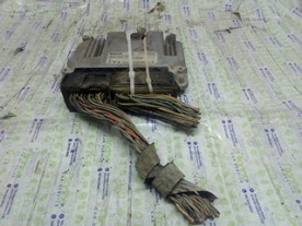INJECTION CONTROL UNIT FORD...