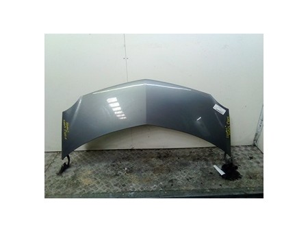 COFANO ANT. RENAULT MODUS 1A SERIE (09/04-01/08) D4FD7 7751475521