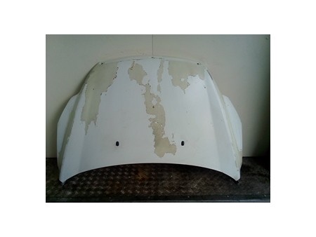 COFANO ANT. FORD FOCUS (CB4) (01/08-12/11) HHDA 1521601