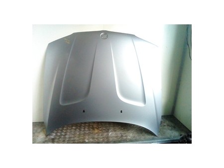 COFANO ANT. BMW X3 (E83) (09/06-12/10) 204D4 41003449411