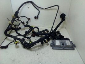 INJECTION HARNESS ALFA...