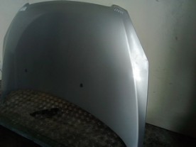 COFANO ANT. PEUGEOT 307 (04/01-12/06) RHY 7901J0