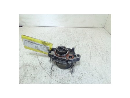 POMPA VUOTO CITROEN C3 1A SERIE (02/02-12/05) 8HY 456566