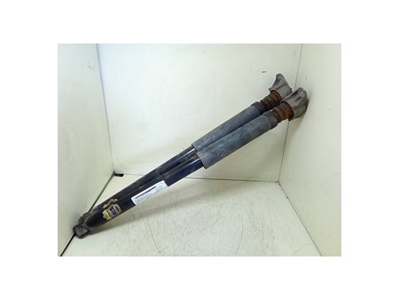 AMMORTIZZATORE POST. FORD C-MAX (CB3) (03/07-12/11) HHDA NB0097007043001