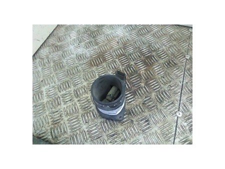 FLUSSOMETRO/DEBIMETRO RENAULT CLIO 3A SERIE (07/05-05/09)  NB3826019043013