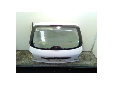 PORTELLO POST. PEUGEOT 206 (09/98-06/09) HFZ 8701R5